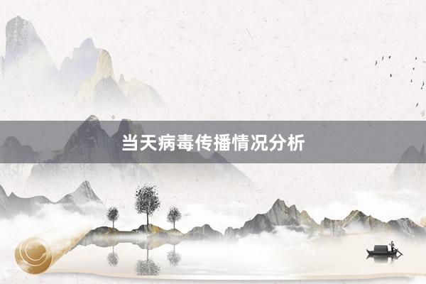 当天病毒传播情况分析